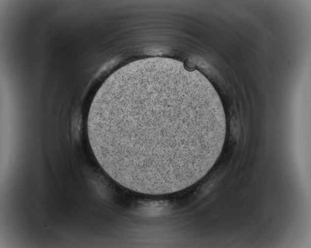 X0000086240304200704191826
