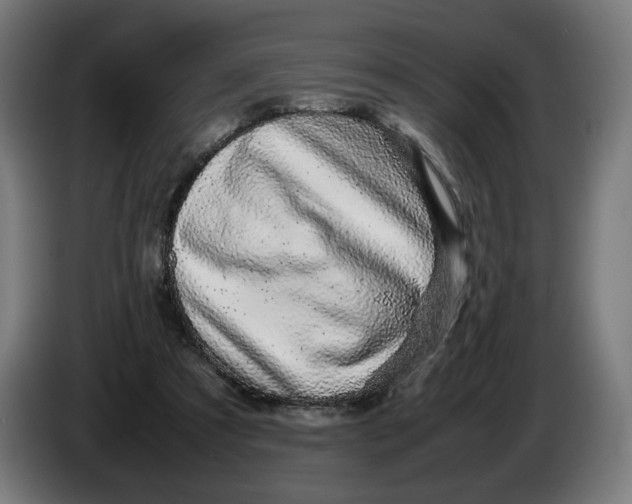 X0000086240305200704191826