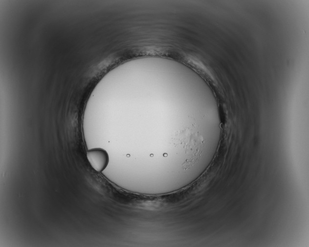 X0000086240306200704191826