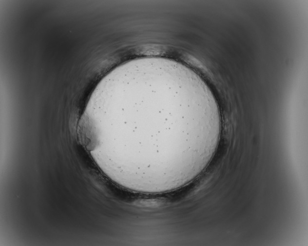 X0000086240307200704191826
