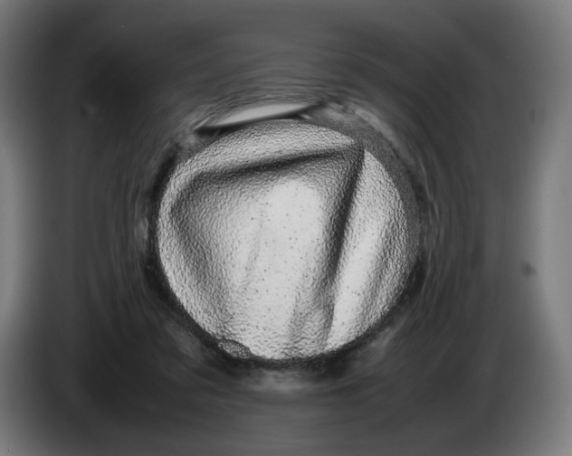 X0000086240309200704191826