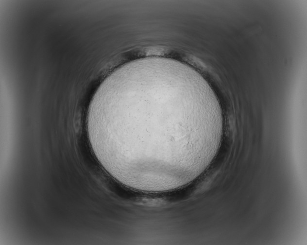X0000086240311200704191826