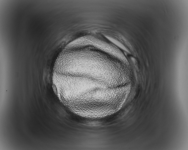 X0000086240313200704191826