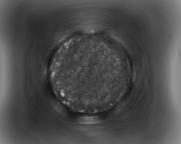 X0000086240314200704191826