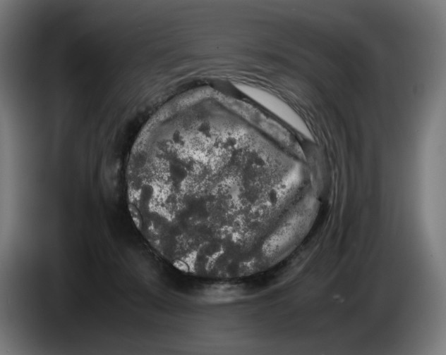 X0000086240319200704191826