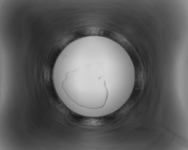 X0000086240326200704191826