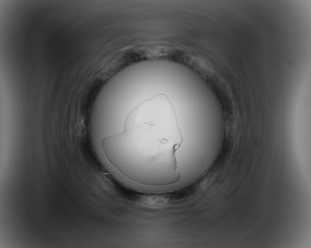 X0000086240327200704191826