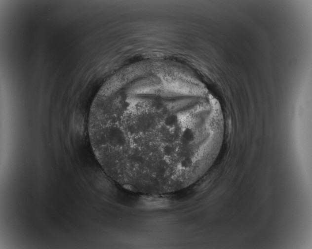 X0000086240331200704191826