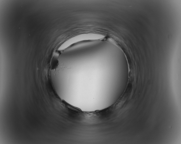 X0000086240333200704191826