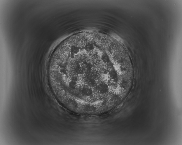 X0000086240337200704191825