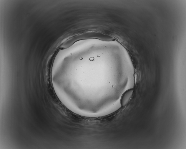 X0000086240339200704191825