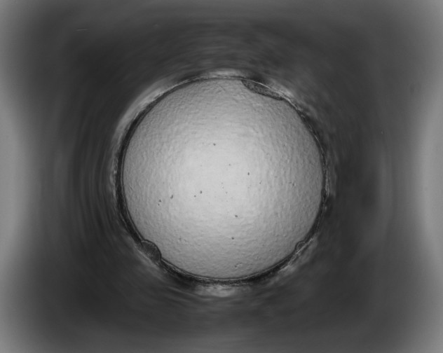 X0000086240341200704191825