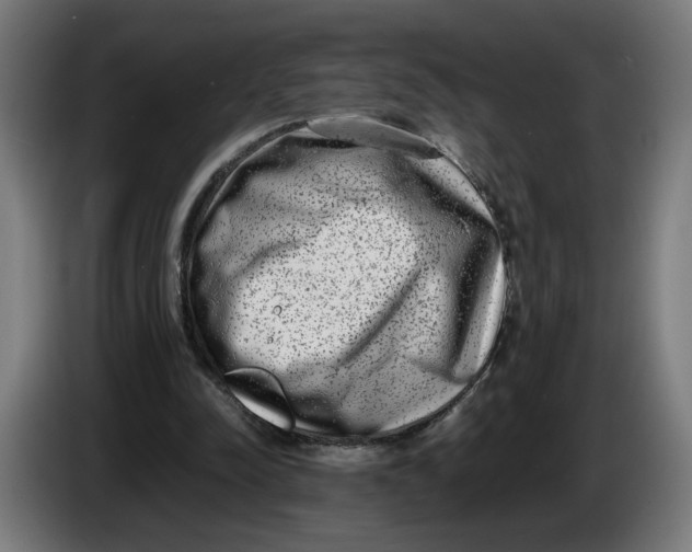 X0000086240342200704191825