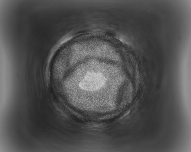 X0000086240343200704191825