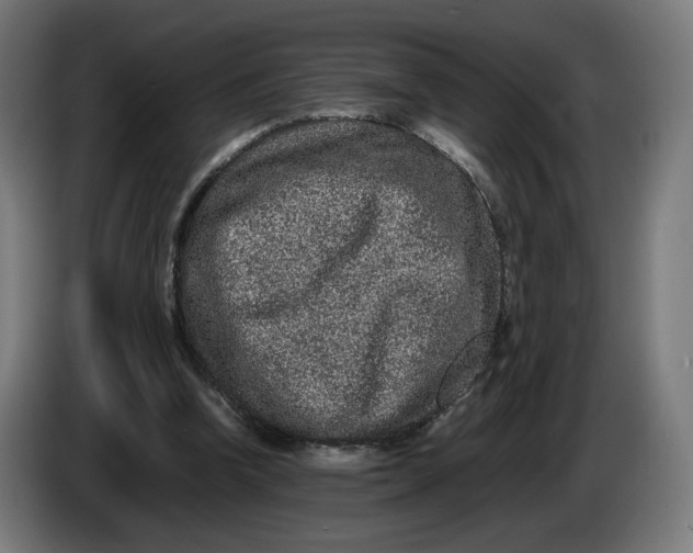 X0000086240346200704191826