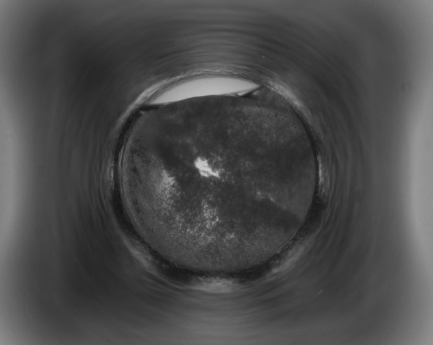 X0000086240348200704191826