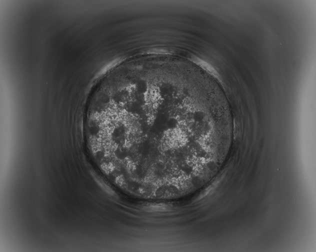 X0000086240349200704191826