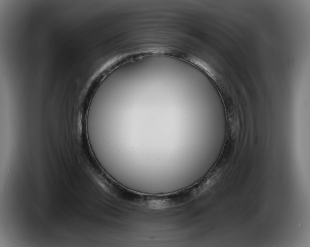 X0000086240350200704191826