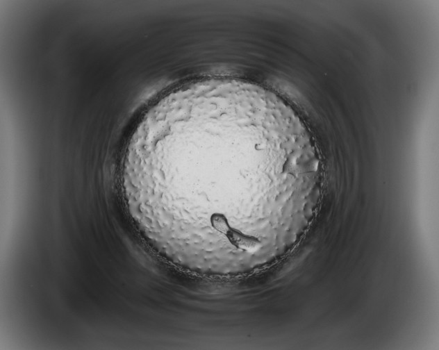 X0000086240351200704191826