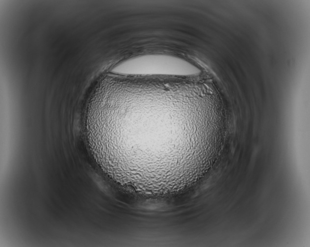 X0000086240353200704191826