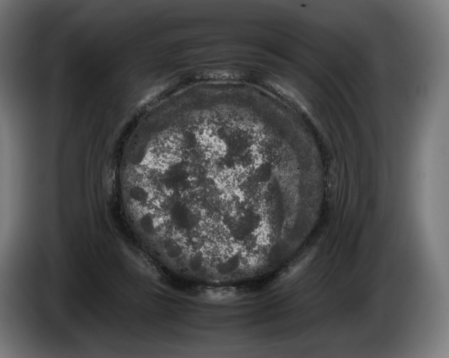 X0000086240355200704191826