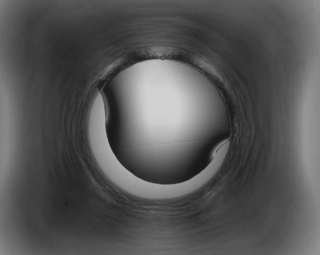 X0000086240356200704191826