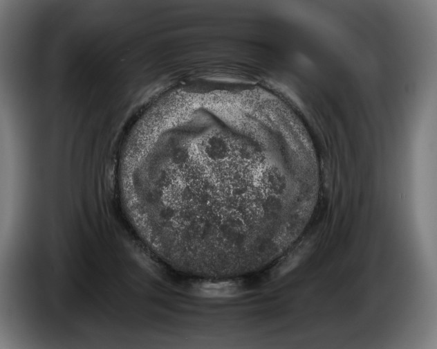 X0000086240357200704191826