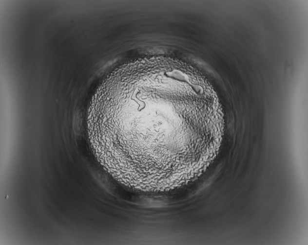 X0000086240359200704191826