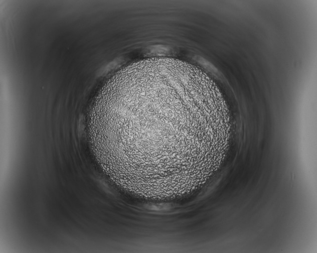 X0000086240361200704191826