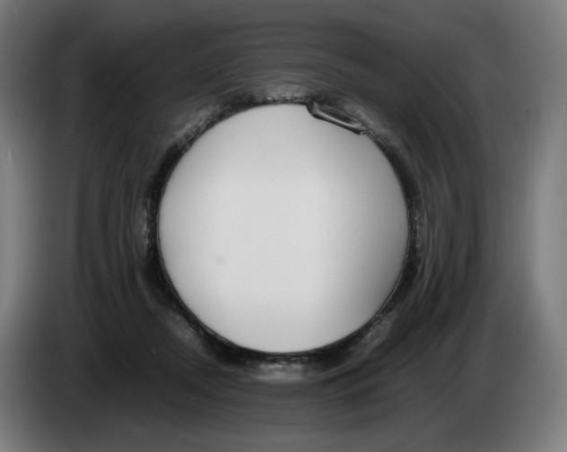 X0000086240362200704191826