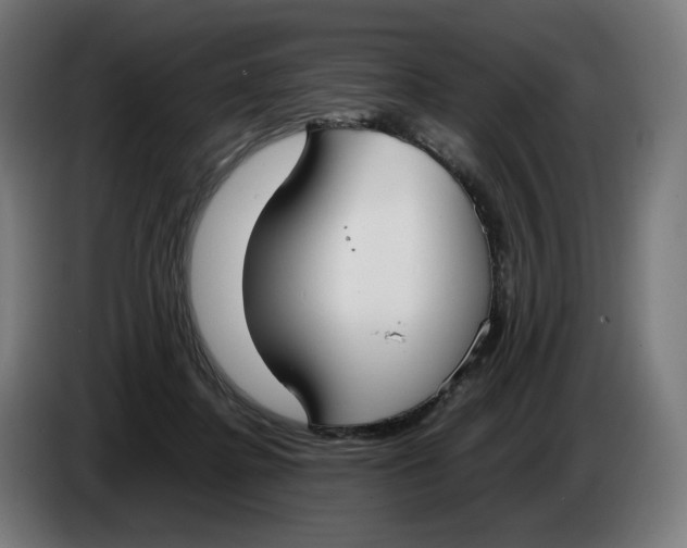 X0000086240364200704191826