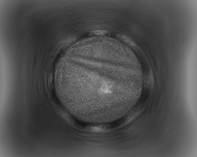 X0000086240365200704191826