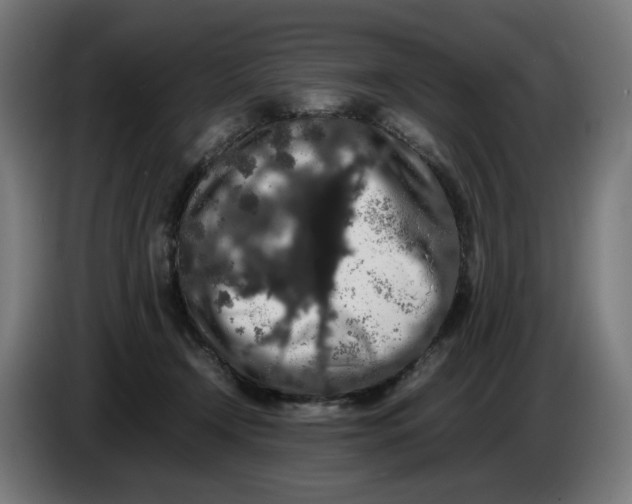 X0000086240366200704191826