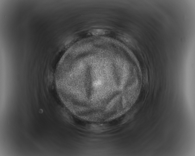 X0000086240367200704191826