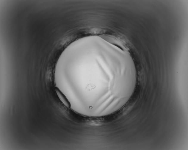 X0000086240368200704191826