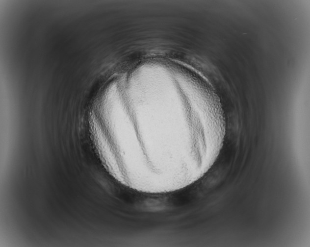 X0000086240369200704191826