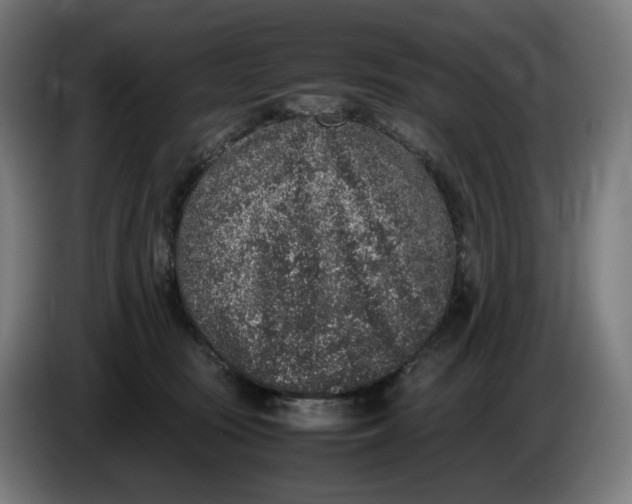 X0000086240371200704191826