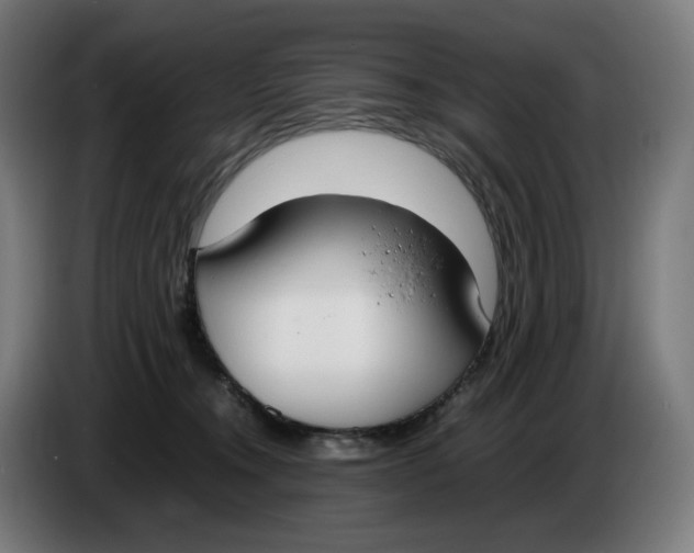 X0000086240372200704191826