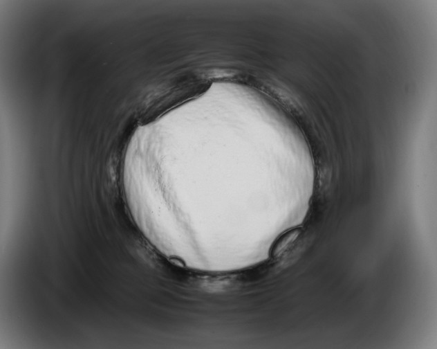 X0000086240373200704191826