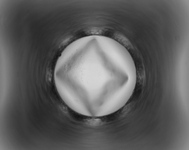 X0000086240374200704191826
