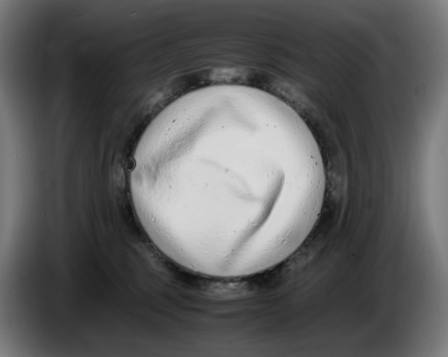 X0000086240375200704191826