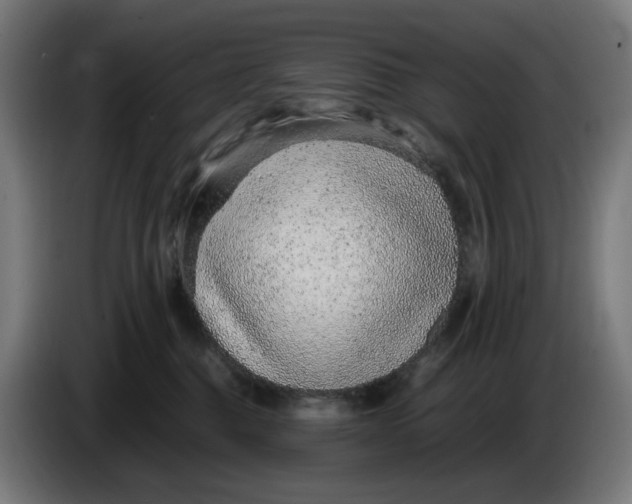 X0000086240376200704191826