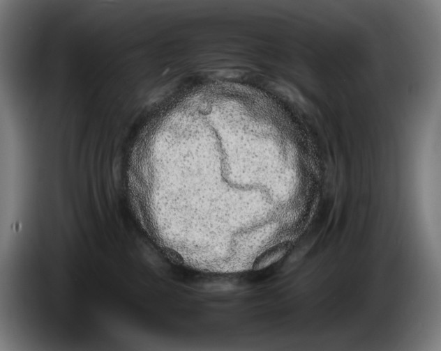 X0000086240377200704191826