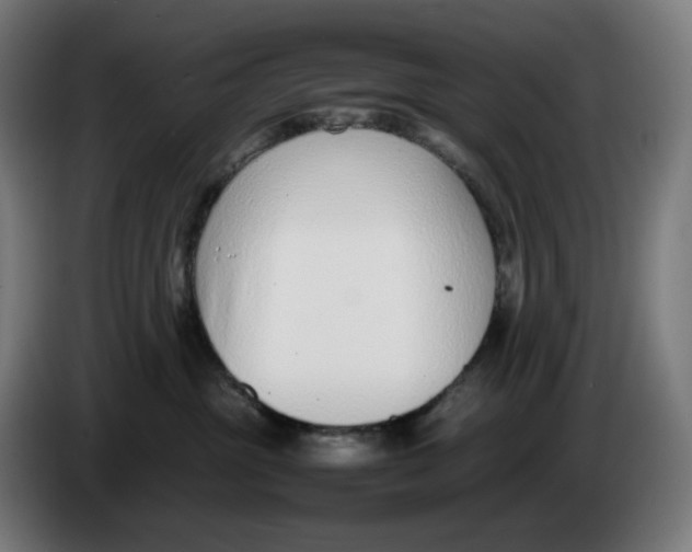 X0000086240381200704191826