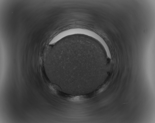 X0000086240382200704191826