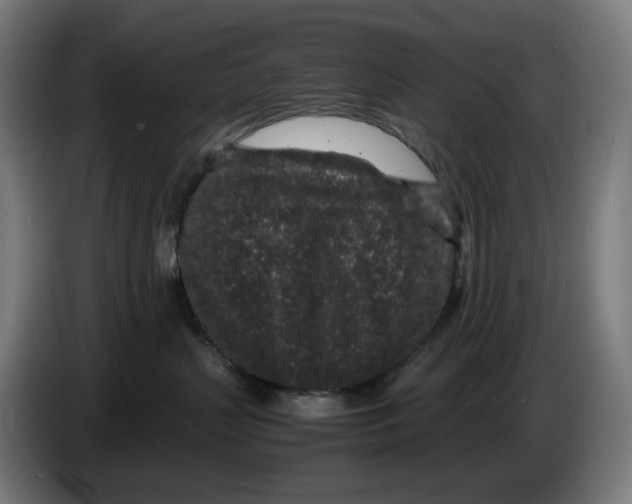 X0000086240383200704191826