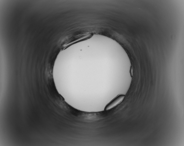 X0000086240384200704191826