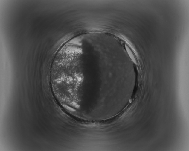 X0000086240385200704191825