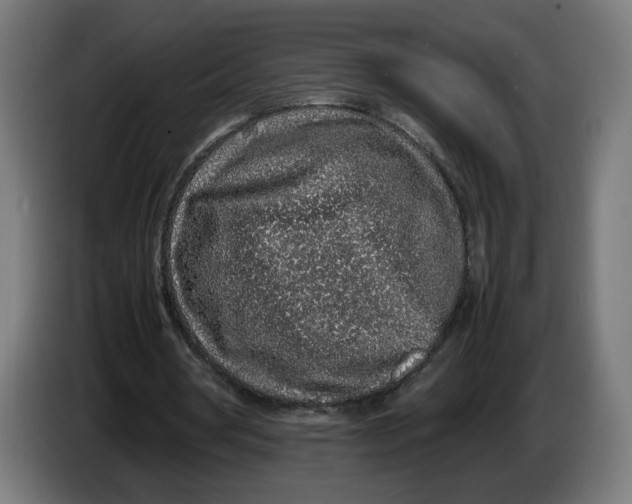 X0000086240386200704191825