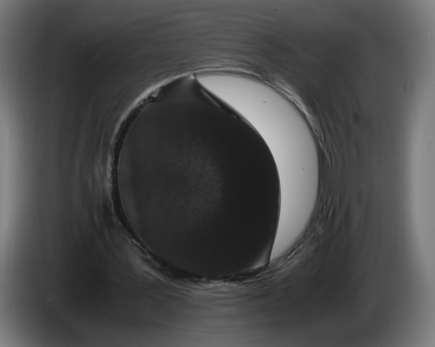 X0000086240387200704191825